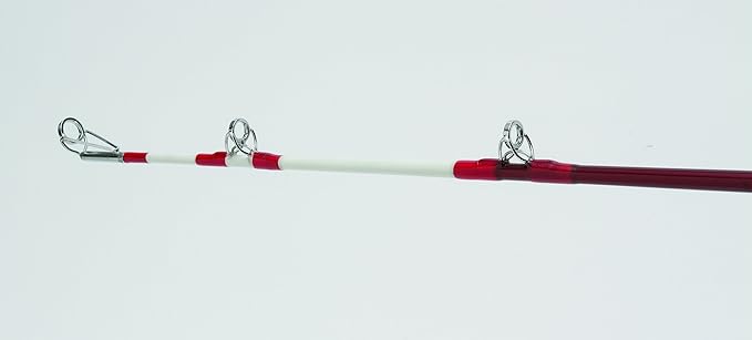 rippin lips rod and reel combo