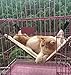 UsefulThingy Cat Hammock/Ferret, Rat, Rabbit, Small Dogs or Other Pet - Easy to Attach to a Cage - 3 Designs: Lynx