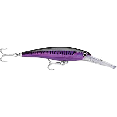 daiwa 2 speed saltist Daiwa Saltist Levelwind A Conventional Reel – Fisherman Depot main image 0