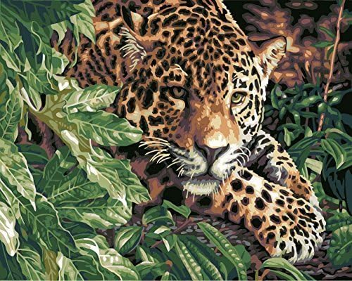 MailingArt Paint by Numbers Kits for Adults Kids with Wooden Frame Animals - Leopard
