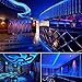 LE 12V LED Strip Light, Flexible, SMD 2835, 300 LEDs, 16.4ft Tape Light for Home, Kitchen, Party, Christmas and More, Non-waterproof, Blue, Pack of 2