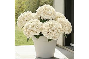 UV Resistant Hydrangeas 6 Bundles with 30 Heads Artificial Faux Silk Flowers for Garden Porch Yard Window Box Wedding Decorat
