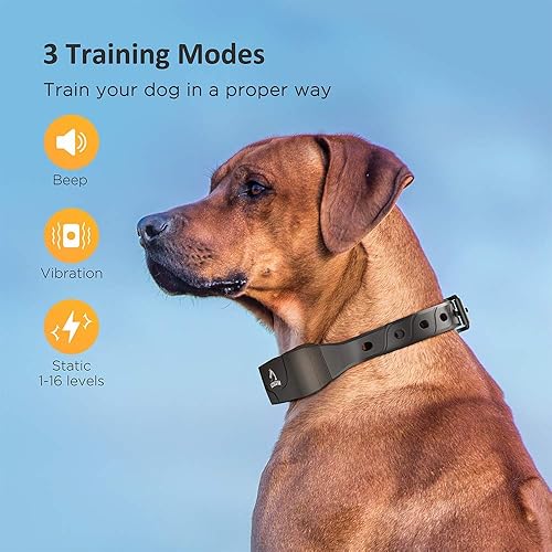 PATPET Dog Training Collar with Remote Rechargeable IPX7