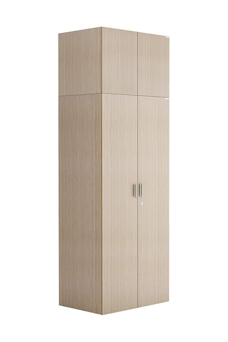 Godrej Interio New Florid Pro 2 Door Wardrobe Matte Finish