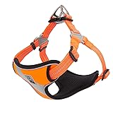 TRUE LOVE Dog Harness TLH5991 Anti Pull Safety Vest