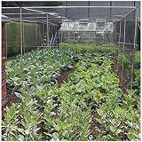 Gardening Naturally Black Butterfly Netting 2m x 5m Garden Netting view 7