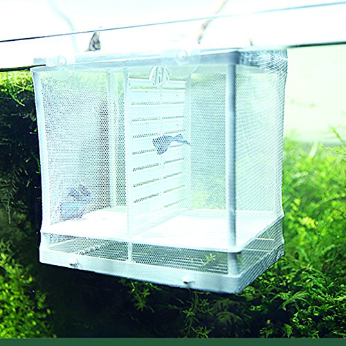 4 Kangkang+Aquarium+Incubator+Equipment+Isolation