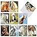 The Best Card Company - 10 Mixed Set Horse Note Cards Blank (4 x 5.12 Inch) - Wildlife, Animal Assorted Boxed Bulk Pack - Horses | Magnificent Manes M4601OCB-B1x10