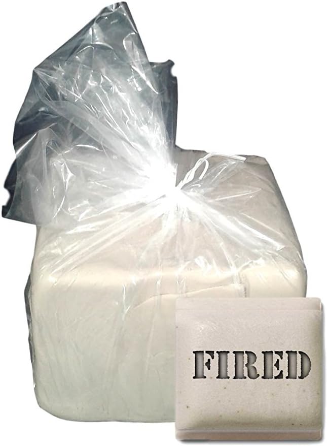 Aurora Pottery | Ceramic Clay - Pottery Clay for Potters Best Mix Plus Cone 10 (15 Pounds)