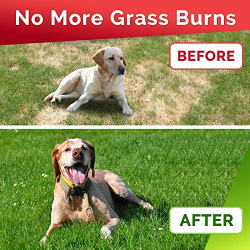 GOODGROWLIES Grass Treats for Dogs Dog Pee Lawn Repair Grass Burn
