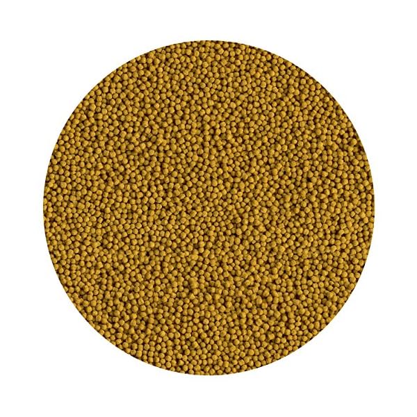 Tetra-Pond-Pellets-Mini-Complete-Fish-Food-for-Pond-Fish-4-Litre Tetra Pond Pellets Mini Complete Fish Food for Pond Fish, 4 Litre