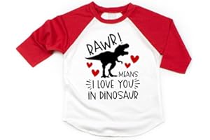 Bump and Beyond Designs Dinosaur Valentine's Shirt Boys, Rawr Means I Love You