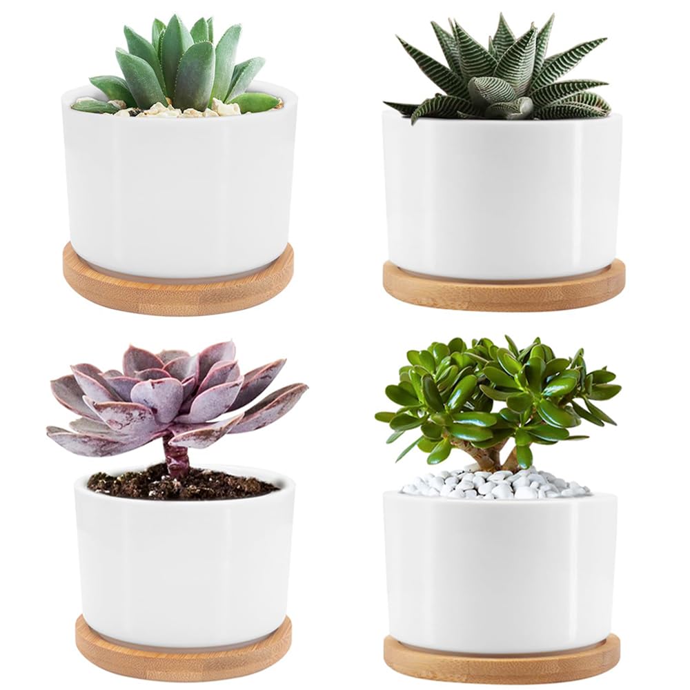 Seahelms Small Ceramic Plant Pot 7.5cm Succulent Plant Pot with Drainage Hole and Saucer indoor Plant Pots Perfect for Home Office Decoration, Set of 4 (No Plants)
