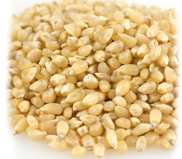 3.9 LB WHITE VIRTUALLY HULLESS (LESS HULLS) POPCORN KERNELS • RESEALABLE BAG • USA GROWN • NON-GMO, VEGAN, KOSHER • GREAT FOR MOVIE NIGHT • INTL POP