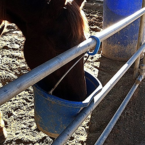 Safety Tie Injuries Preventing Horse Tether Tie, Horse Safety Release