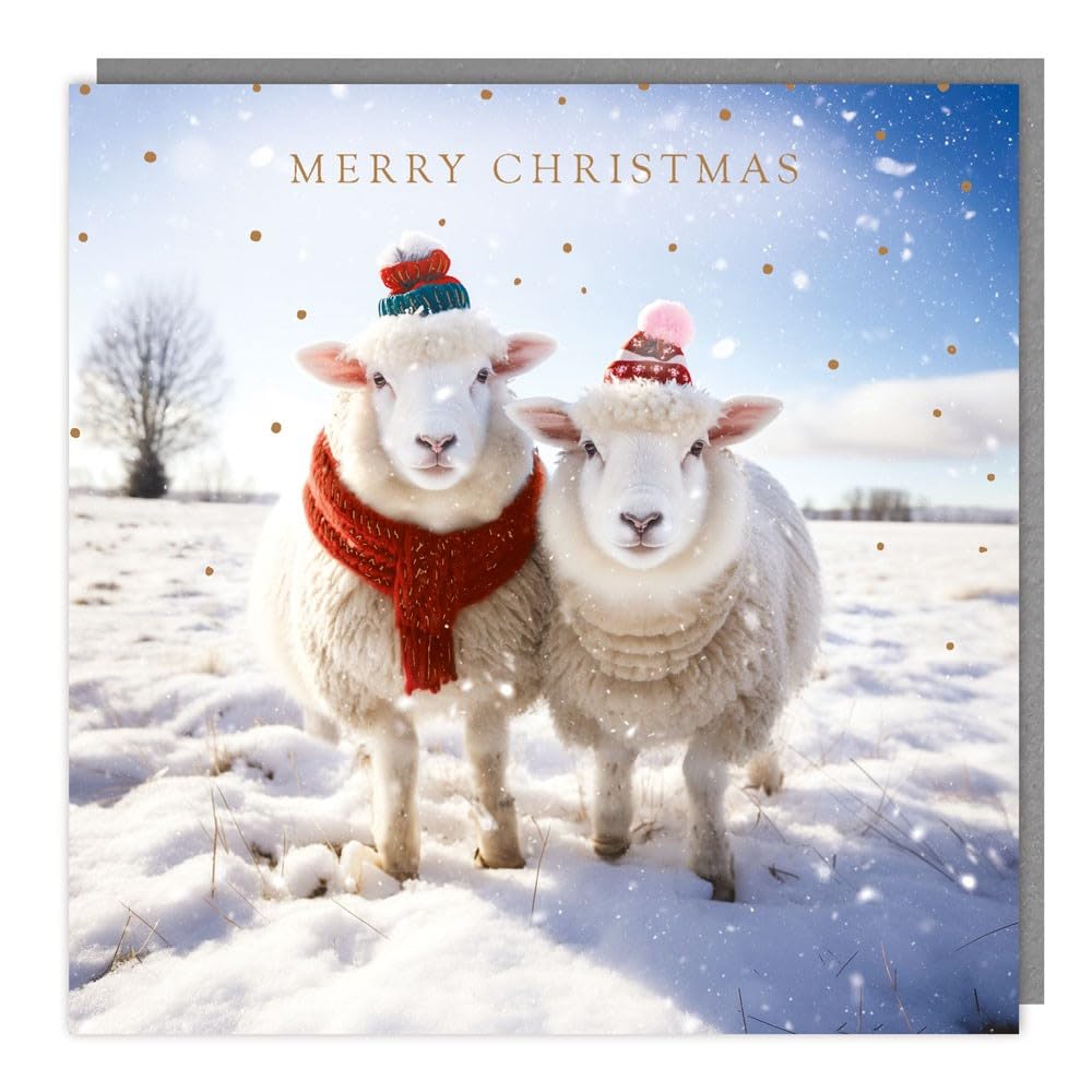 Tracks Publishing Charity Christmas Cards Pack of 5 - Charity Christmas Cards with Snowy Sheep in Festive Hats Design - Eco-Friendly Xmas Cards Multipack with Envelopes