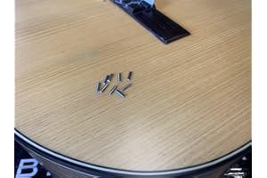 SALA MUZIK Fretlet Microtonal Guitar Fret FLF-10 (20 Pcs)