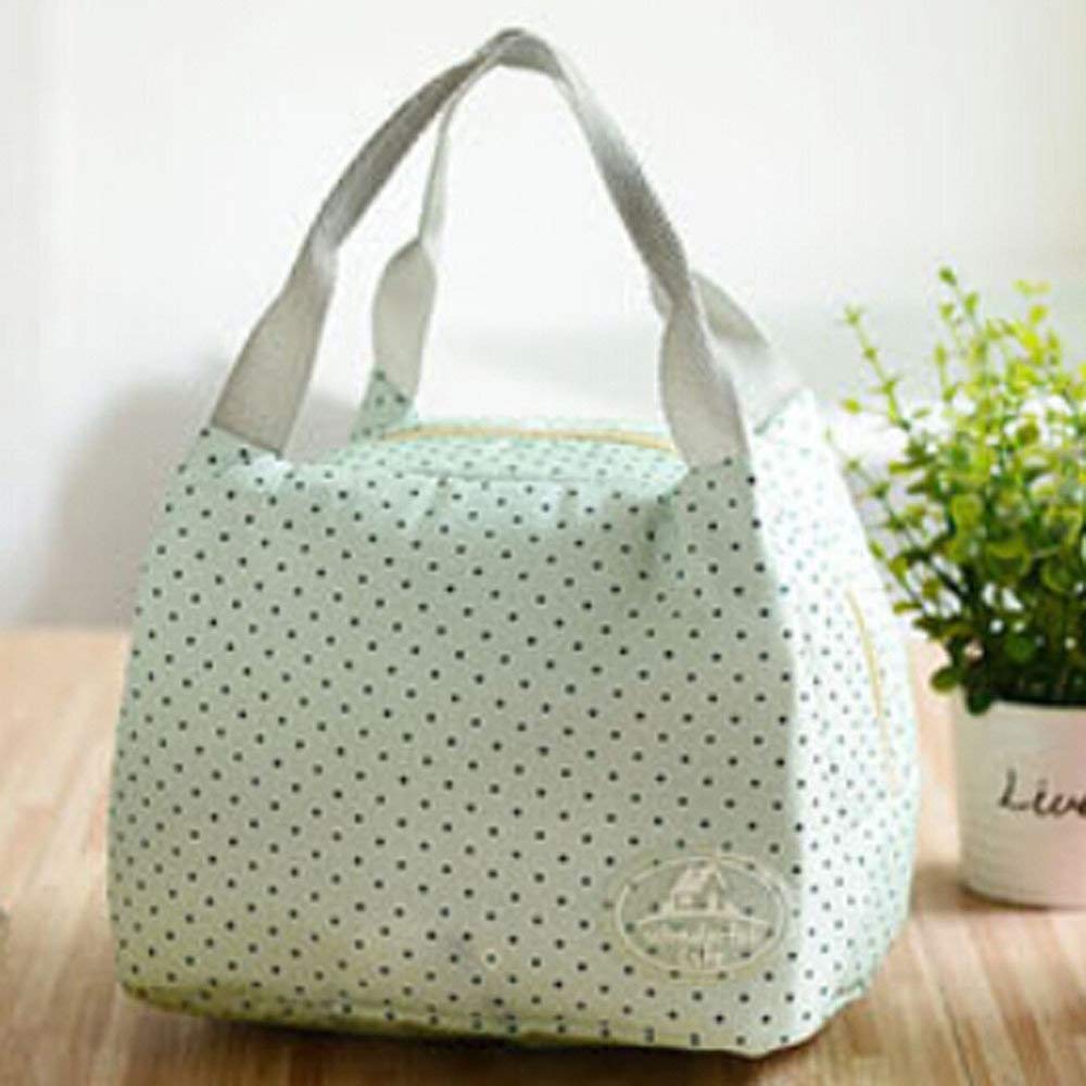 RYTEJFES Bolsas De Almuerzo Portátil Tote Picnic Refrigerador ...