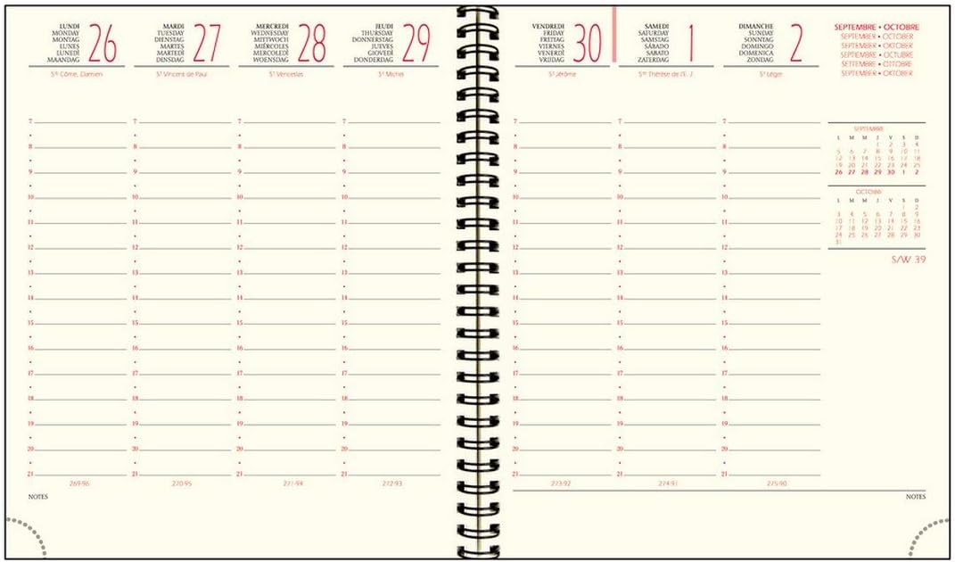 Exacompta 18537E Desk Diary, SAD 18 W, Format 17 x 15 cm, September 2019 to December 2020, Random Image, Assorted - Image 4