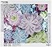 Diamond Art by Leisure Arts - Powered by Diamond Dotz - 5D DIY Diamond Painting Kit - Succulents Design