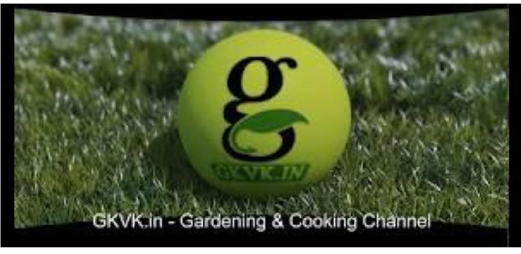 Kitchen Gardening - //medicalbooks.filipinodoctors.org