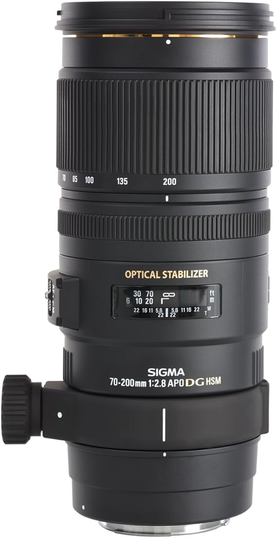 Amazon Co Jp Sigma 望遠ズームレンズ Apo 70 0mm F2 8 Ex Dg Os Hsm ニコン用 フルサイズ対応 5554 家電 カメラ