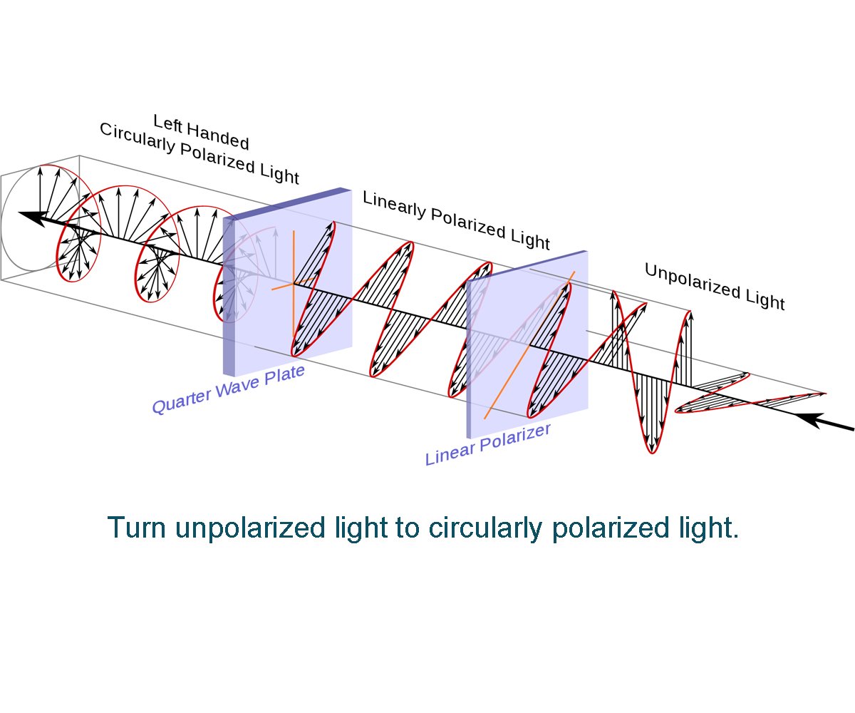 Какие виды поляризации. Основные типы поляризации. Виды поляризации. Основные виды поляризации. Поляризация света.