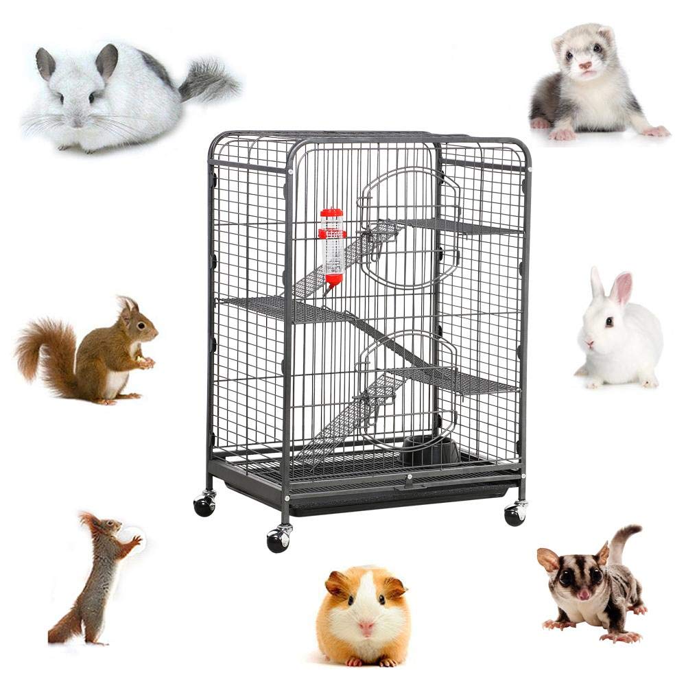 https://images-na.ssl-images-amazon.com/images/I/61yGAkqWW2L.jpg