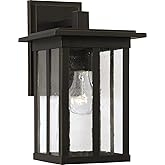Capital Lighting 943811OZ Barrett Antiqued Glass Rectangular Outdoor Wall Lantern, 1-Light 100 Watt, 12" H x 7" W, Oiled Bron