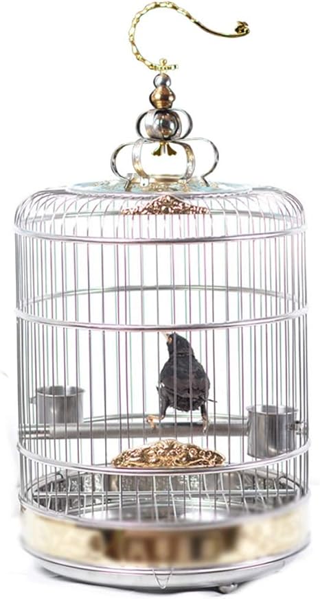 Amazon Co Jp 高級ステンレス製鳥かご 21 6インチの大きな丸い鳥かご 家庭用鳥かご 組み立てが簡単 ペット用鳥かごを吊るす 鳥かごケージ Color Silver 44 55cm ホーム キッチン