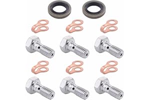 ApplianPar Fuel Return Line Banjo Bolt Copper Gaskets Kit for Dodge Cummins 1989-1998 12V 4bt 6bt 6ct Engin Replace 3905307