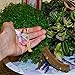 Mood Lab Fairy Garden Accessories Kit - Miniature Figurines Slide Set of 2 pcs for Outdoor or House Decor