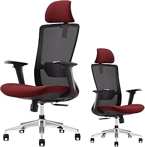 EGOSI Ergonomic 4D Armrest Office Chair Adjustable Desk Chair with Sliding Seat, High Back Mesh Computer Chair with Adjustable Lumbar Support,Headrest, Swivel Home Office Desk Chair, (Red Mesh)