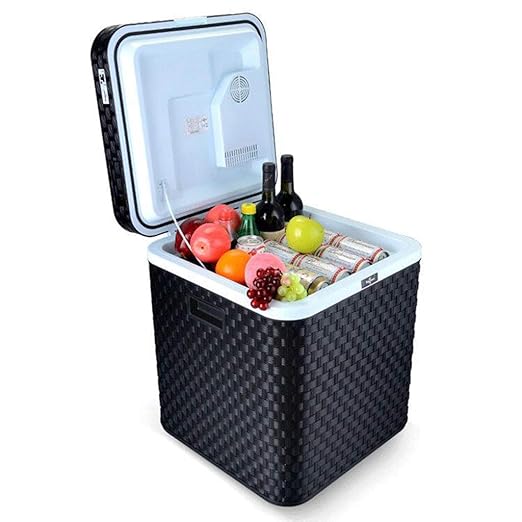 Coche negro Refrigerador Rota Semiconductor Coche Hogar Doble uso ...