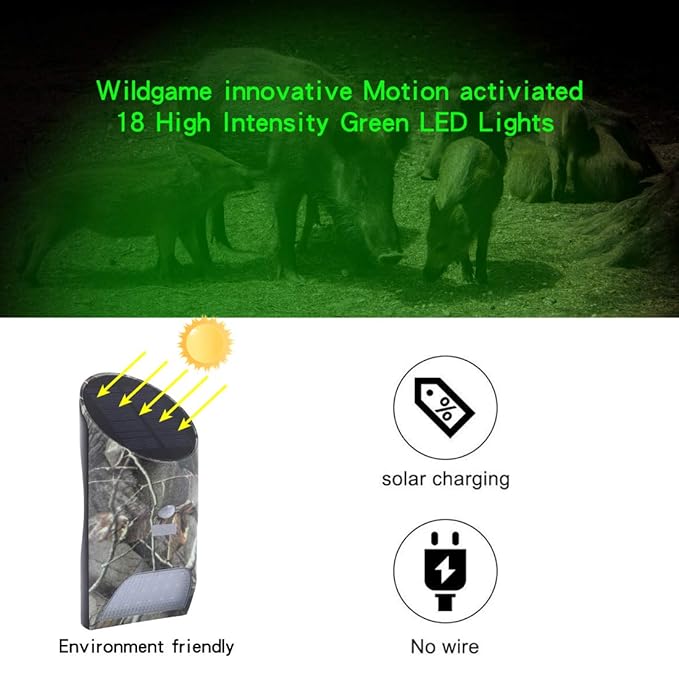 Amazon.com : Vizzlema Feeder Hog Light Outdoor Solar Feeder Light for Hunting with Motion Sensor and Green Light for Game Animal Hunting : Sports & Outdoors