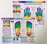 Set: 2 CHARTS: REFLEXOLOGY: FOOT & HAND/ ACUPRESSURE MASSAGE, in Inner Light Resources RAINBOW® Charts Series. 8.5 x 11 in; 2-sided (Small Poster/ Large Card)
