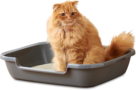 Amazon Kitty And Puppy Pan L キティアンドパピーパン 猫 犬 用 足の短い猫ちゃんに 入り口高さ8cm 猫トイレ 一体成型 外寸 幅61 奥50 5 高12 5cm 内寸 幅48 奥39 高11cm 入り口 幅27 高8cm オーエフティー トイレ本体 通販