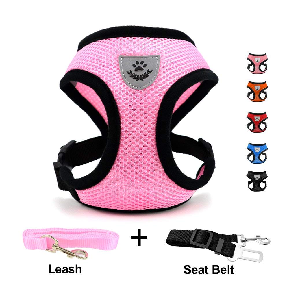 Best Cat Harness Top 9 NoEscape Products (2020)