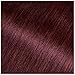 Garnier Olia Ammonia-Free Brilliant Color Oil-Rich Permanent Hair Color, 4.60 Dark Intense Auburn (Pack of 1) Red Hair Dye