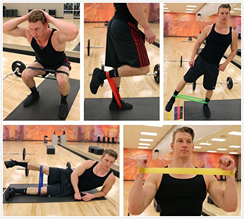 Fitness Dreamer Resistance Bands, Exercise Loop bands and Workout Bands by Set of 5, 12-inch Fitness Bands for Training or Physical Therapy-Improve Mobility and Strength, Life Time Warranty - Thumbnail 3