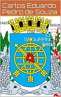 Livro ESTADO COM SEGURANÇA ¨falida¨