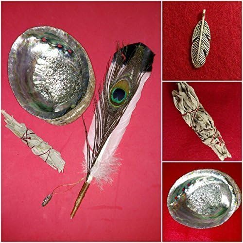 Smudge Kit, Authentic Sinew Wrapped Feather Wand, Abalone Shell, Organic Sage Torch, Guide by Karma Keepers