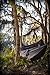 ENO - Eagles Nest Outfitters JungleNest Hammock, Includes Hammock and Bug Net, Grey