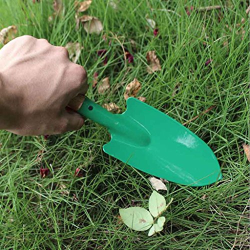 Onpiece Wooden Handle Trowel Shovel Digging Transplanter Garden Tool, 10 Inch
