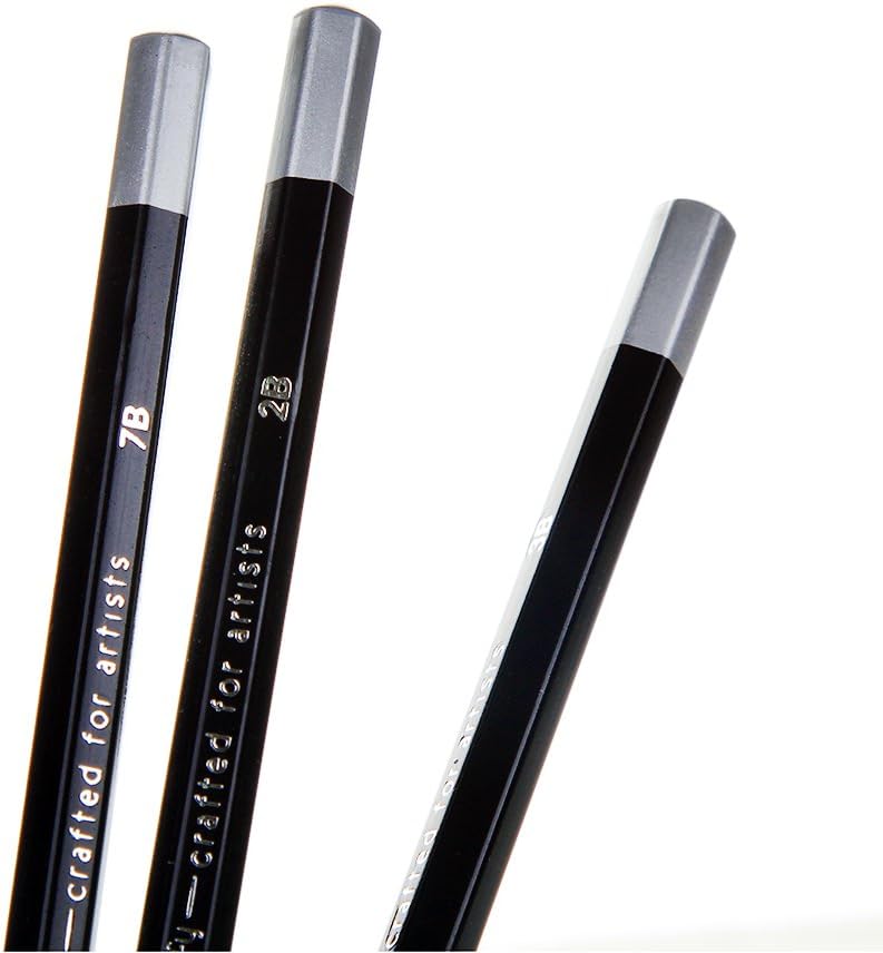 Bellofy 12 Drawing Pencils - Art Pencils Sketch Travel Set Artists Drawing Kit - 9B, 8B, 7B, 6B, 5B, 4B, 3B, 2B, B, HB, F, H - Precision Graphite Pencils for Adults & Kid Artists : Office Products
