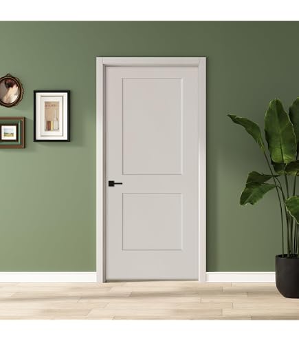 Amazon.com: BARNSMITH 36x80 in 1-Panel White Primed Molded Door