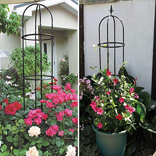PLHMS Rosenturm Rankhilfe Rankgitter Metall Obelisken, Rosensäule Obelisk Säule 170cm, Ranksäule witterungsbeständig… – Bild 5