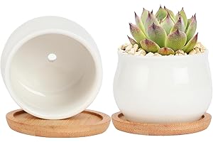 SHECIPIN 2 Pack Succulent Pots, 2.5 Inch Mini Ceramic Pots for Flower or Cactus Plants with Drainage Hole,Plants Not Included (White)