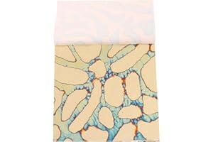 KINNO Variegated Gold Leaf Sheets for Gilding, Home Decoration,Artistic Works, 5.5" by 5.5", 25 Sheets Booklet