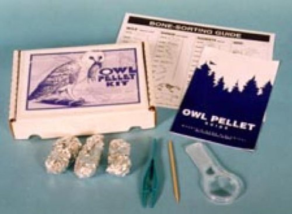 Amazon Com Student Owl Pellet Kit Industrial Scientific
